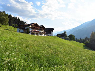 Bild 2 aus  Marschalkhof    Urlaub auf dem Bauernhof