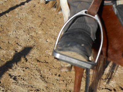 Bild 64 aus  Ferienhof Pulte