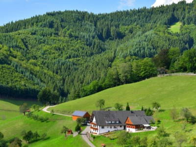 Ferienhäuser Müllerbauernhof im Schwarzwald