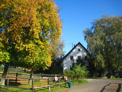 Bild 24 aus  Ferienhof-Marx