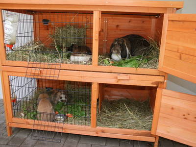 Bild 16 aus  Hanselishof