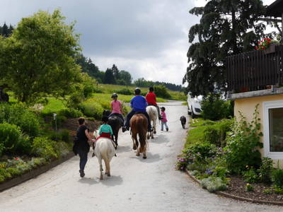 Bild 25 aus  Familienbauernhof Faß