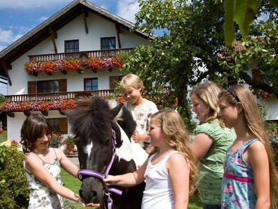 Bild 4 aus  Wofahanslhof