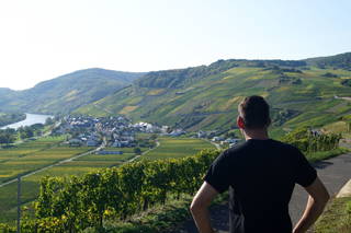Ferres Weingut aus Kesten