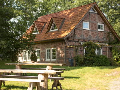 Bild 20 aus  Reiter- und Ferienhof Cohrs