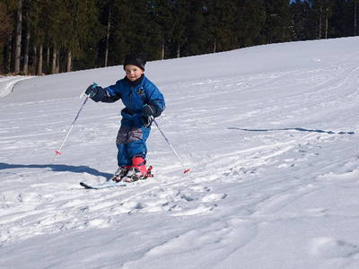 Bild 26 aus  Schreinerhäusle
