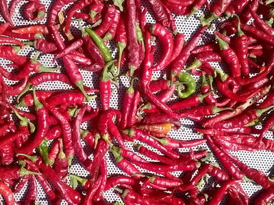 Peperoncini - nur Mut! Nicht alle sind superscharf.