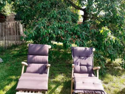 Bild 8 aus  Ferienhaus Landlust