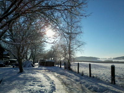 Bild 41 aus  Forsthof Niendorf