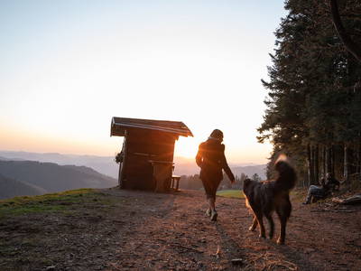 Bild 23 aus  Friedershof