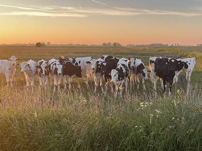 Bild 14 aus  Ferienhof Ostarle