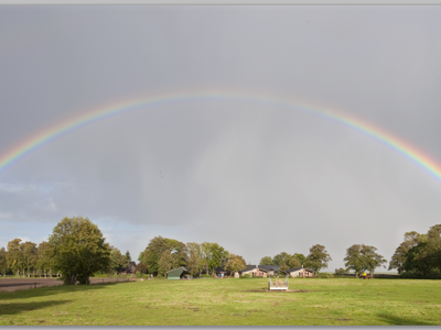 Bild 7 aus  Bauernhof Sauer