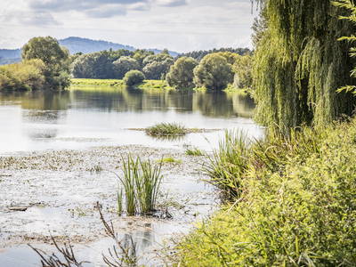 Bild 71 aus  Urlaub am Regen - Biobauernhof Dirnberger