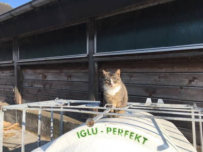 Bild 22 aus  Ferienhof Gertz