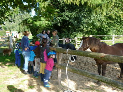 Geführtes Ponyreiten