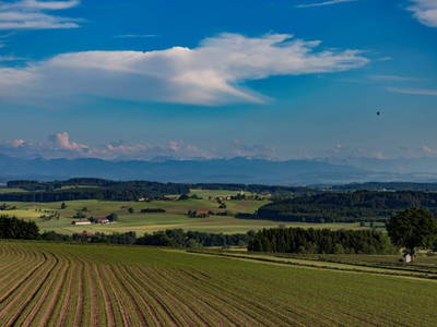 Bild 34 aus  Allgäu Bergferienhof