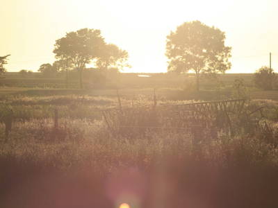 Bild 9 aus  Willrathshof