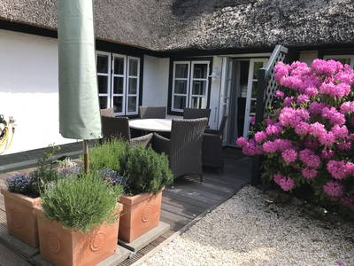 Bild 13 aus  das Föhrienhaus mit seinen drei Einheiten