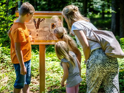 Bild 33 aus  LandSelection Staller Ferienhof