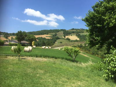 Bild 34 aus  Colle del Lupo