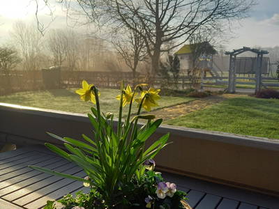 Bild 42 aus  Ferienhof Sell Bauernhofurlaub Ostsee Ponys
