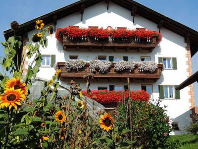 Bild 3 aus  Schadnerhof