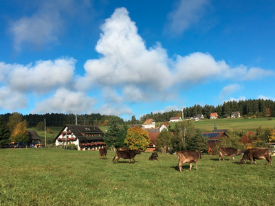 Bild 3 aus  Ferien-Landhaus-Isolde