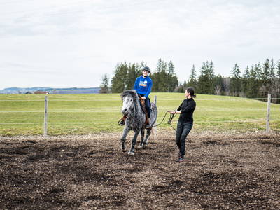 Reitstunden sind für Kinder ein Highlight