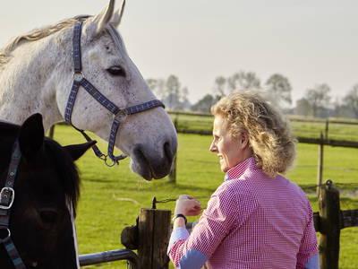 Bild 35 aus  LandSelection Traberhof