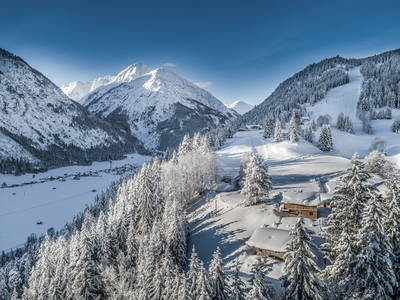 Bild 27 aus  Benglerwald Berg Chaletdorf