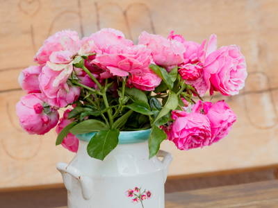 Bild 20 aus  Ferienhof Conrath