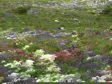 Bild 10 aus  Landhaus am Fellhorn
