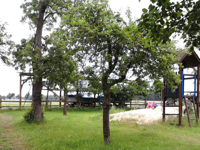 Bild 6 aus  Reitsport Wikner