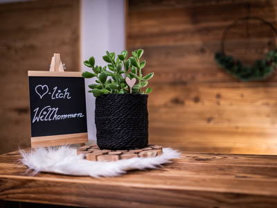 Bild 22 aus  OBERBICHLHOF Appartements & Bauernhof