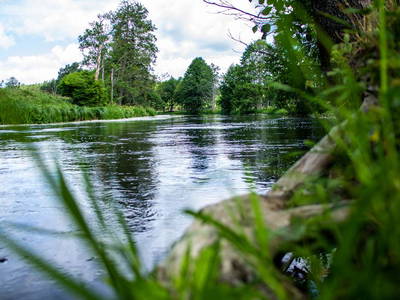 Bild 17 aus  Gutshof Dragefeld