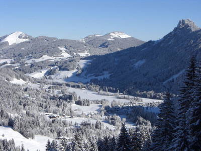 Bild 11 aus  Erlenhof