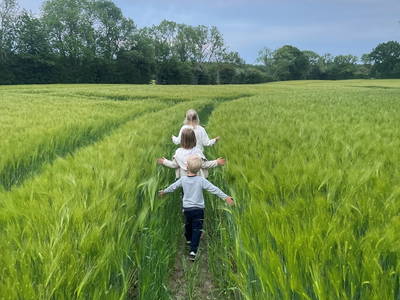 Bild 6 aus  Ferienwohnungen mit Ostseeblick auf Gut Oehe