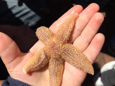 ein wahres Naturerlebnis