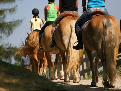 Bild 17 aus  Wietererhof