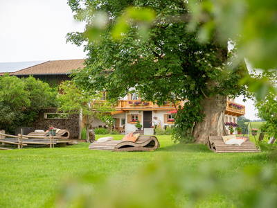 Bild 3 aus  Hof Gottenau