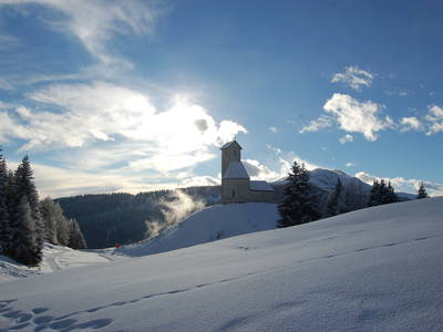 Bild 27 aus  Callhof Biohof