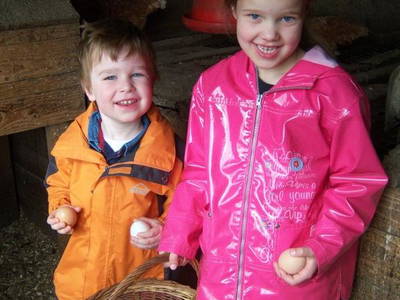 Bild 9 aus  Ferienhof-Roller