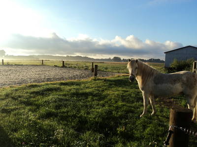 Bild 2 aus  Fredensminde Ferie