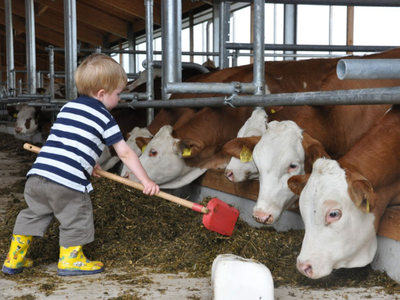 Bild 9 aus  Kainzenhof