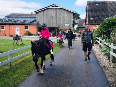 Bild 12 aus  Ferienhof Sell Bauernhofurlaub Ostsee Ponys