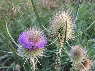 Bild 17 aus  LandSelection Die Schenkenau