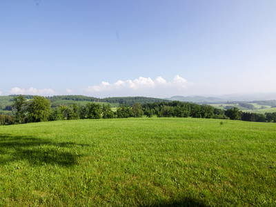 Bild 9 aus  Landurlaub im Sauerland auf dem Ferienhof Verse