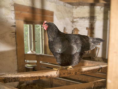 Bild 16 aus  Behringhof am Gamengrund