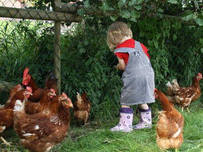 12 Damen sorgen für das frische Frühstücksei und freuen sich über Leckereien