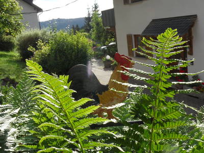 Bild 32 aus  Steffahof - Mitglied von LandSelection